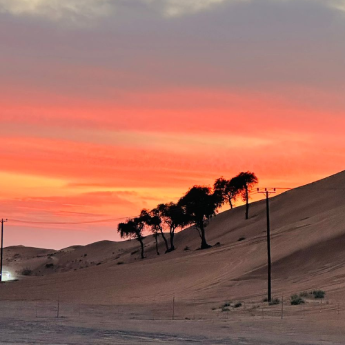Overnight Desert Safari