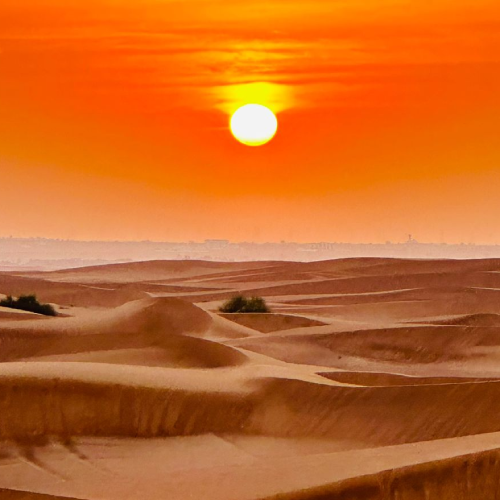 Vip Desert Safari -01 (1)